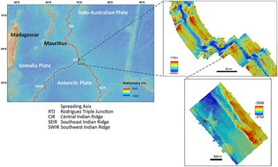 Detailed Mapping of Hydrothermal Vent Fauna: A 3D Reconstruction Approach Based on Video Imagery